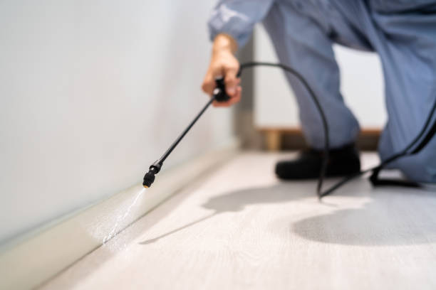 Licensed Pest Control service in Pinehurst, MA - Show Me Pest Control