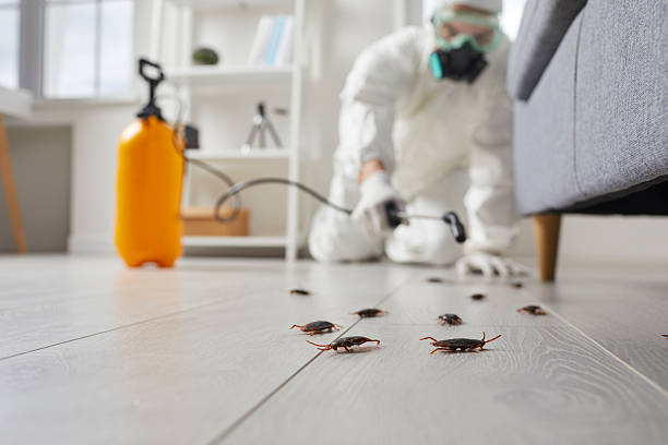 Commercial Kitchen Cockroach Control in Pinehurst